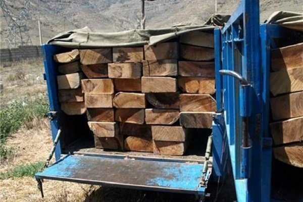 کشف بیش از ۱۰ تن چوب قاچاق در فامنین