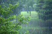 ثبت ۵۷.۸ میلیمتر باران در شهر یاسوج  احتمال طغیان رودخانه ها