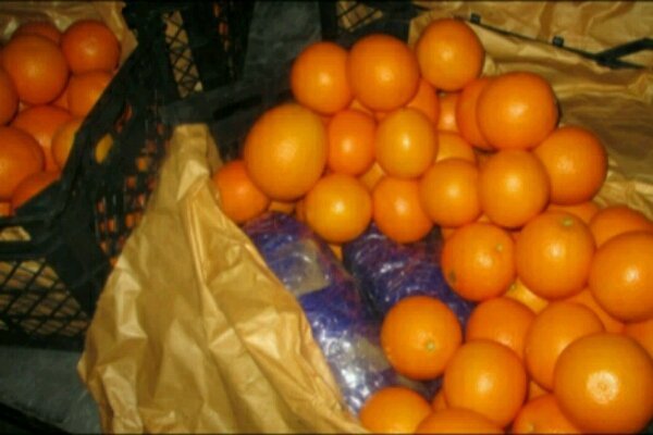 کشف بیش از 10 کیلوگرم تریاک در خودرو حامل پرتقال