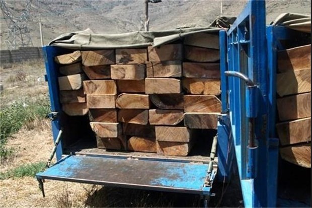 رد پای قاچاق چوب مازندران در پایتخت