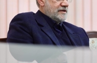 سفیر آلمان به دیدار علی لاریجانی رفت (4)
