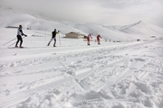 قهرمان مسابقات اسکی آلپاین بانوان کشور مشخص شد
