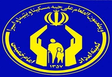 همکاری 500هزار خیر با کمیته امداد البرز