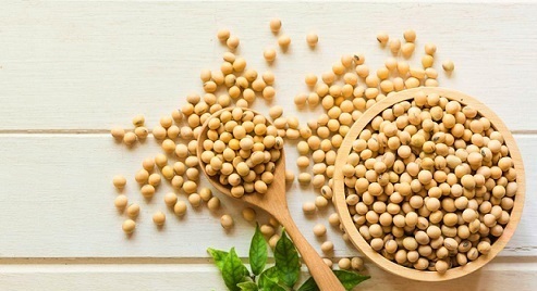 قیمت سویا و کنجاله تغییر کرد+جدول/ تصمیم گیری درباره قیمت شیرخام و گوشت مرغ