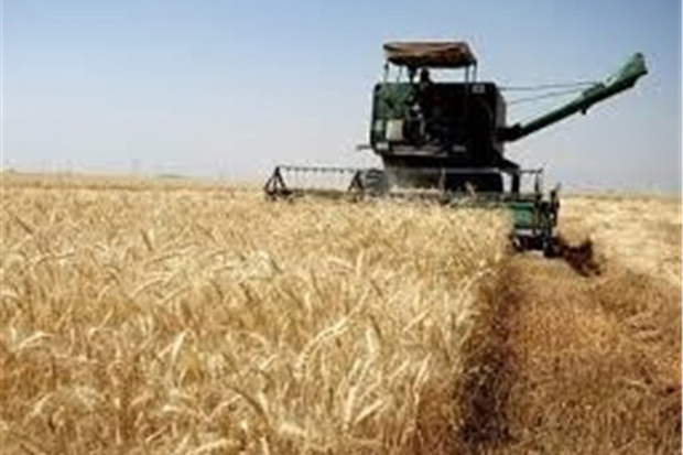 142 میلیارد ریال از مطالبات کشاورزان خمین پرداخت شد