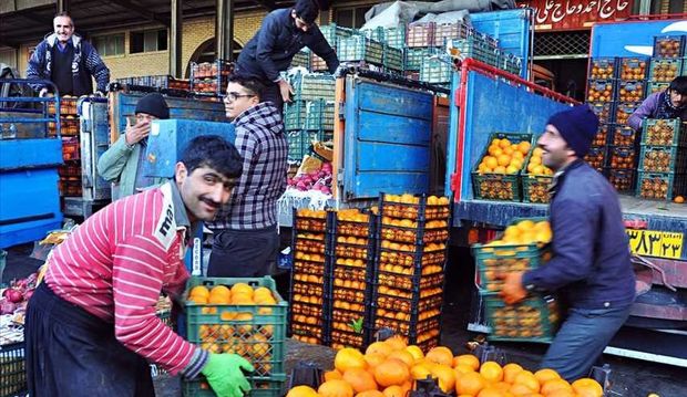 شایعه‌ای دیگر پیرامون حضور تجار عراقی در بازار میوه شیراز