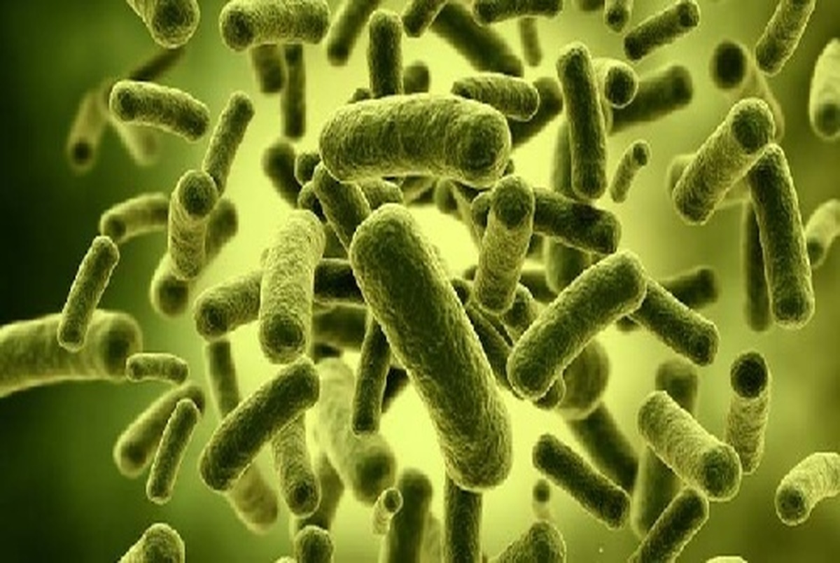 شناسایی عامل کلیدی مقاومت دارویی در باکتری ها
