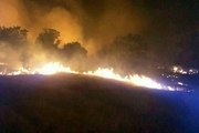 اغلب آتش‌سوزی‌های جنگل‌های خوزستان عمدی است