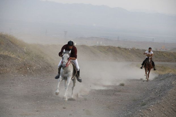مسابقه اسب دوانی گرامیداشت هفته دولت در سبزوار برگزار شد