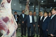 صادرات ایران به کشورهای آسیای میانه جلوه ای ازتحقق اقتصاد مقاومتی است