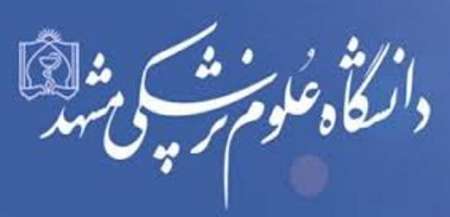 56 تن مواد غذایی فاسد در خراسان رضوی معدوم شد