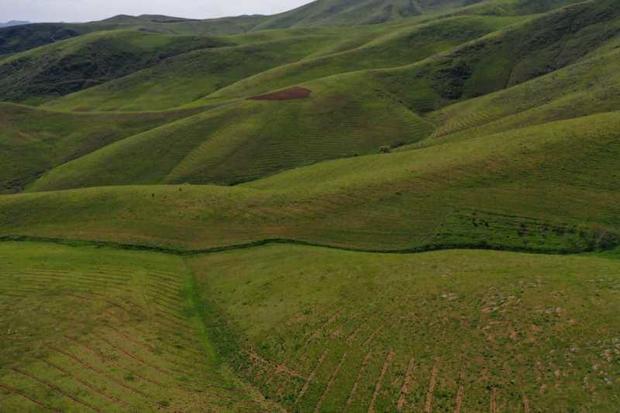 1162 هکتار از اراضی منابع طبیعی کردستان رفع تصرف شد
