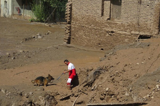 449 مددجوی کمیته امداد قزوین در سیلاب اخیر خسارت دیدند