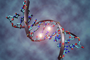 تولید DNA مصنوعی از سوی محققان ژاپنی