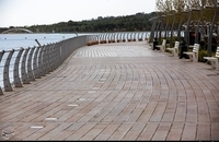 139901131844382820039604