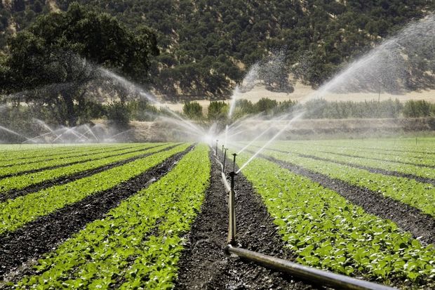 پنج طرح کشاورزی در مهرستان افتتاح شد