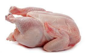 قیمت مرغ از هفته آینده کاهش می یابد