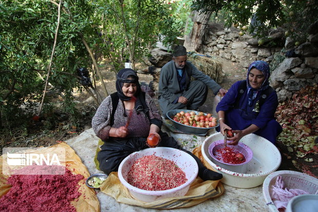 ۹۸ صندوق محله برای زنان روستایی در آذربایجان‌غربی فعال است