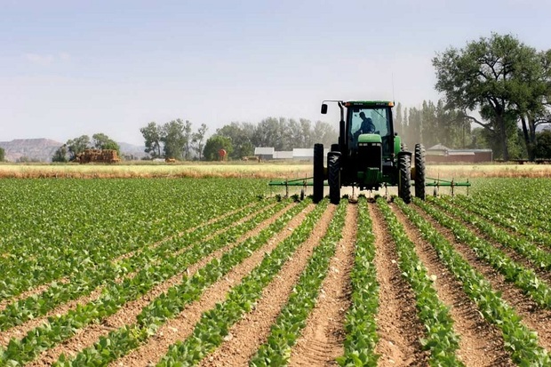 خوزستان ظرفیت بالایی در زمینه صادرات محصولات کشاورزی دارد