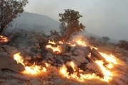 آتش‎سوزی در 50 هکتار از ارتفاعات وِزکور بخش کوهنانی