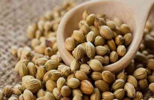 معجزه مصرف این گیاه برای معده و دندان
