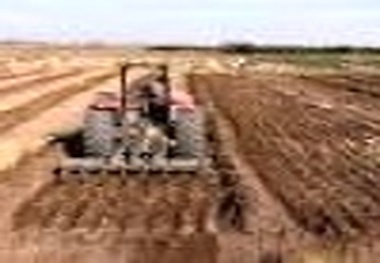 کم آبی همچنان  گریبانگیر کشاورزی خوزستان