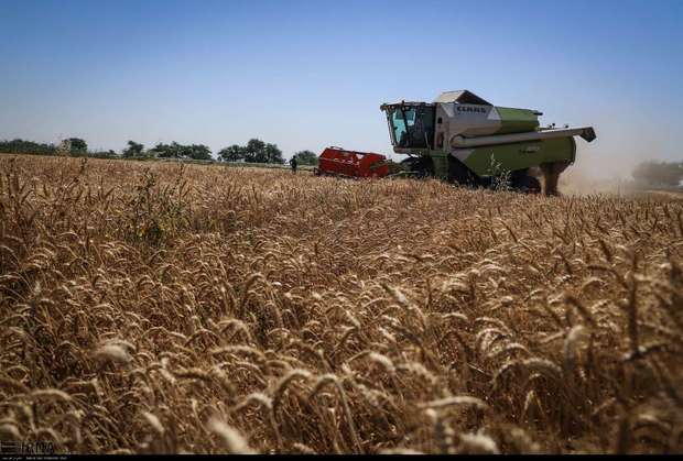 خرید گندم در خوزستان از 1.1 میلیون تن گذشت