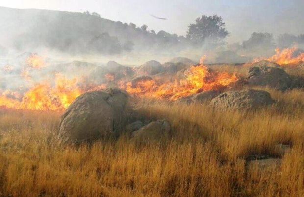 آتش افروزی در جنگل رودبارک استان سمنان ممنوع شد