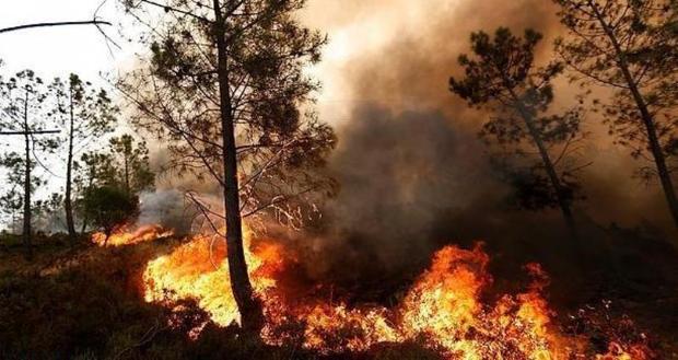آتش به 6 هکتار از پارک ملی کرخه خسارت زد