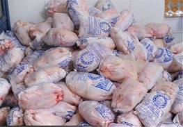 مرغ منجمد در استان کرمان توزیع می شود