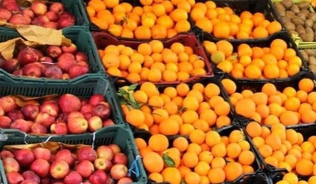 توزیع ۵۵۰ تن میوه طرح تنظیم بازار در استان بوشهر آغاز شد