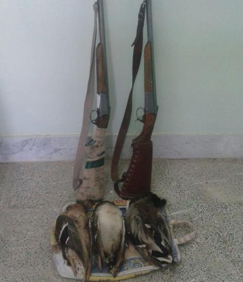 دستگیری سه شکارچی غیرمجاز پرندگان در شهرستان نهبندان