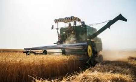 کشاورزان کلاله 126هزار و 700 تن گندم به مراکز خرید تحویل دادند