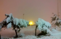 photo_2020-01-19_20-38-02