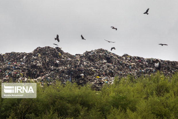 تولید زباله در شهر سمنان افزایش یافت