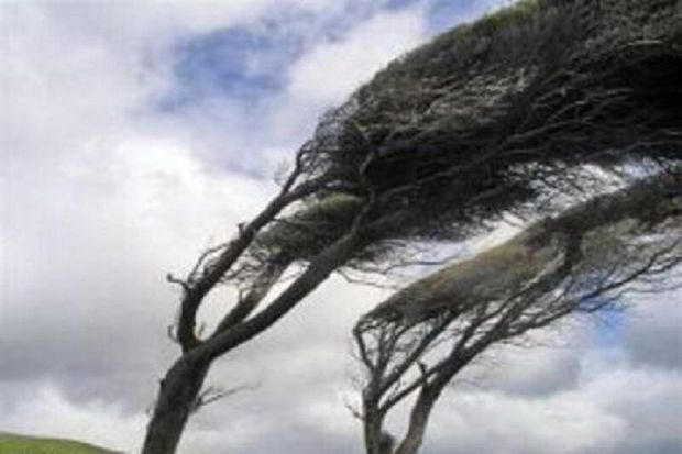 سرعت وزش باد در قصرشیرین به ۵۷ کیلومتر در ساعت رسید
