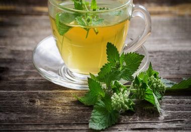 معجزه مصرف این گیاه برای درمان معده دردهای عصبی 
