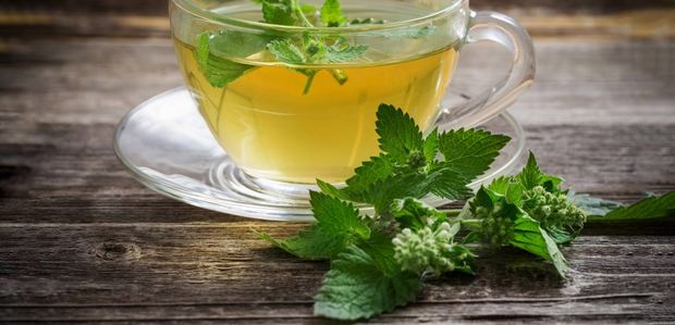 معجزه مصرف این گیاه برای درمان معده دردهای عصبی 
