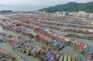 منتخب تصاویر امروز جهان - 5 شهریور 1401