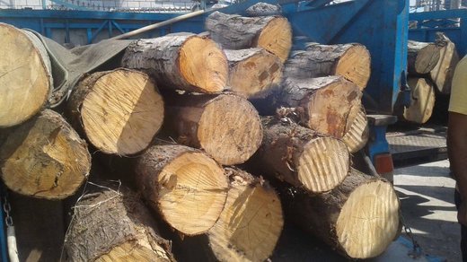کشف بیش از 3 تن چوب جنگلی قاچاق در لردگان
