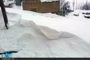 تشریح وضعیت آسیب دیدگان از برف و سرما در افغانستان با 119کشته