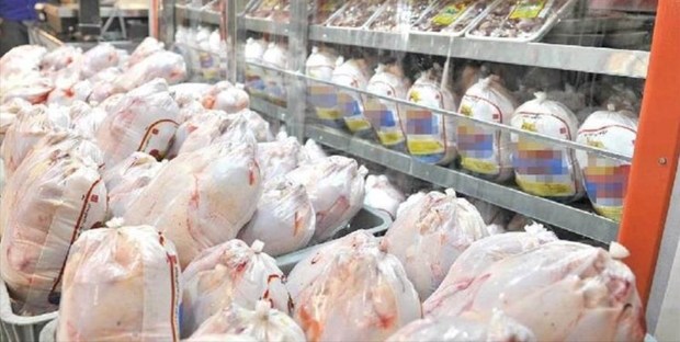 قیمت مرغ همچنان بالاتر از نرخ مصوب حضور دلالان در نمایشگاه‌ عرضه مستقیم کالا
