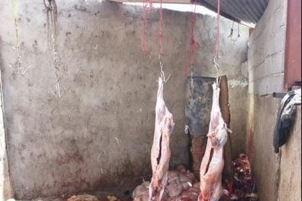 حکم پلمپ مراکز غیرمجاز عرضه گوشت در یاسوج صادر شد
