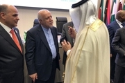 دیدار وزیران نفت ایران و عربستان سعودی در نشست اوپک