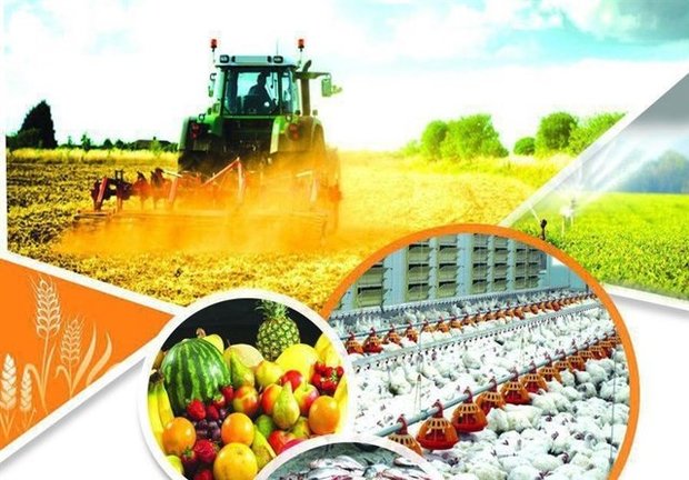 تزریق 441 میلیارد تومان اعتبار به طرح های زیر بخش کشاورزی جنوب کرمان