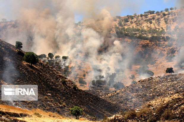 وقوع ۱۷۵ مورد آتش‌سوزی در مراتع و جنگل‌های خوزستان