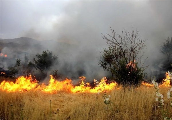 فرسایش خاک بیشترین آسیب آتش سوزی‌های مراتع قزوین