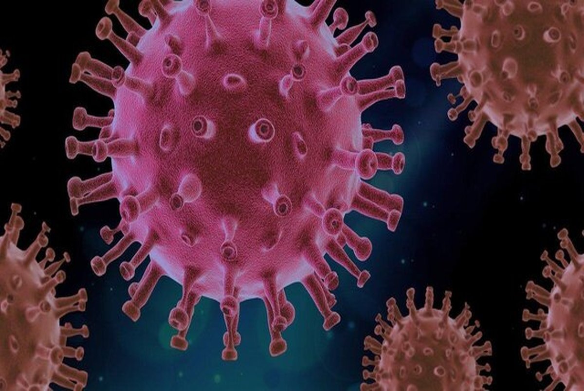 امکان وجود ویروس کرونای جدید در ادرار و مدفوع افراد مبتلا وجود دارد؟