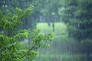 بارش باران تابستان در باغملک