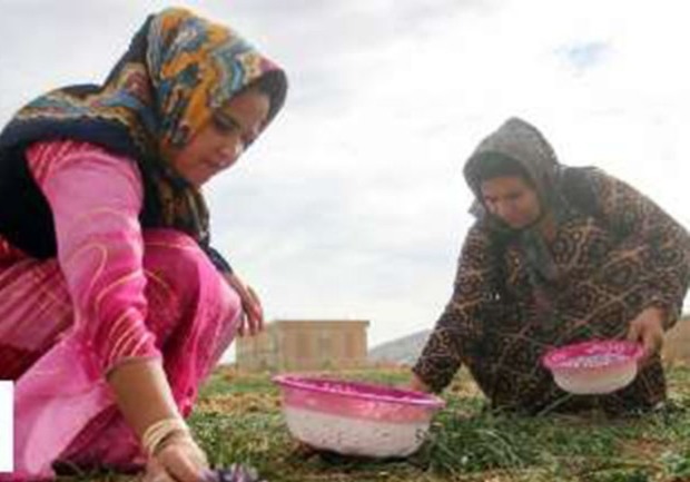 هفت صندوق اعتباری خرد زنان روستایی در اردبیل ایجاد شد